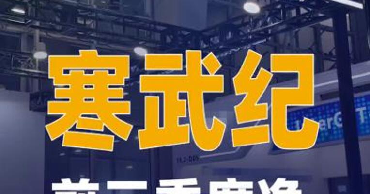 寒武纪：前三季度净利润 16亿元