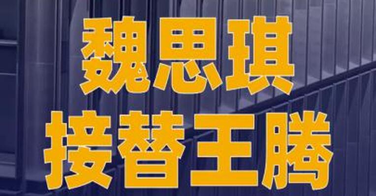 魏思琪接替王腾任小米中国区 市场部总经理