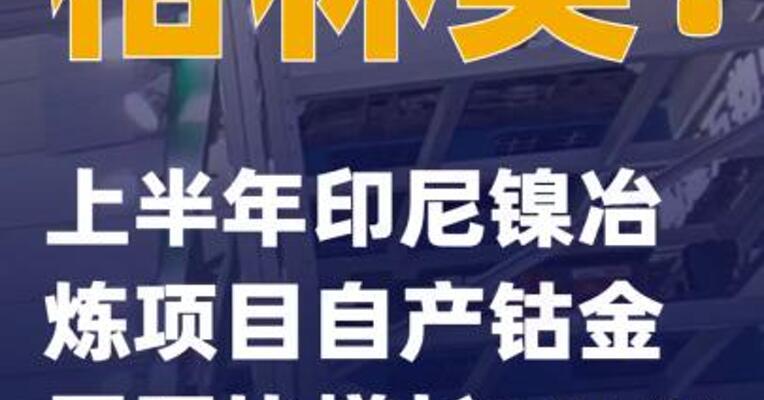格林美：上半年印尼镍冶炼项目自产钴金属同比增长125%