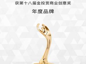 向上，立未来  上汽奥迪荣获第十八届金投赏「年度品牌」奖