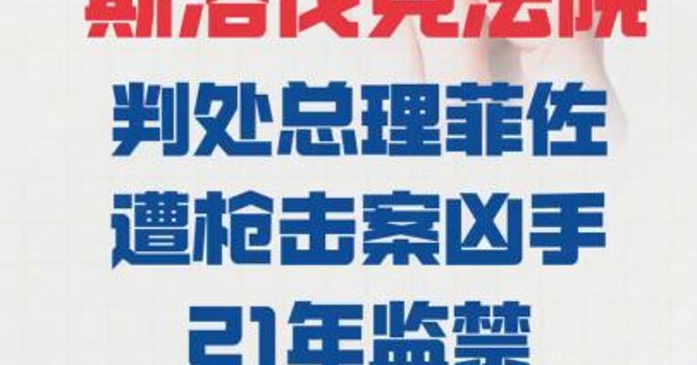 斯洛伐克法院 判处总理菲佐遭枪击案凶手 21年监禁