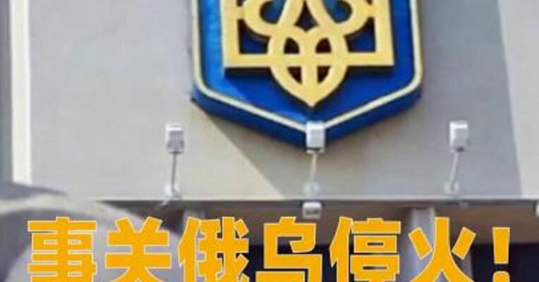 事关俄乌停火！英德法等领导人发表联合声明