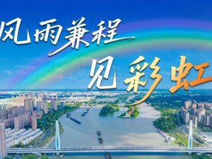 创意视频丨风雨兼程见彩虹
