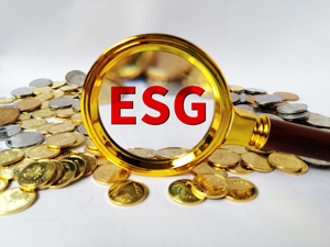 A股超659家公司设立ESG委员会，有公司年内股价最高暴涨12倍