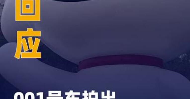 001号车拍出7819万天价 ，京东回应