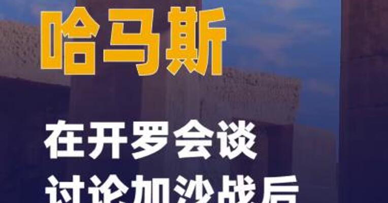 法塔赫与哈马斯 在开罗会谈  讨论加沙战后安排事宜