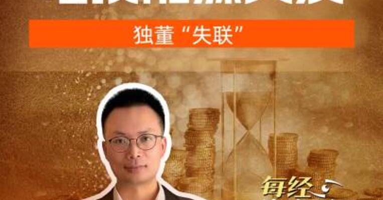 电投能源突发 独董“失联”