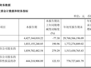 闻泰科技：三季度净利润增长279.29%！若安世控制权无法恢复，可能面临收入、利润下调风险