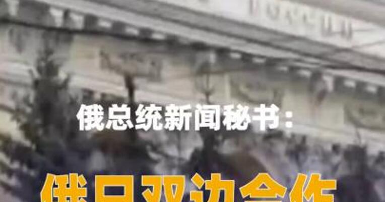 俄总统新闻秘书： 俄日双边合作已降至零