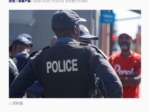 绑架中国公民的3名嫌犯，被南非警方击毙！