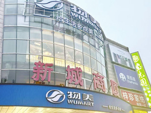 物美“胖改”狂奔：7个月冲刺30店，张文中后劲如何？