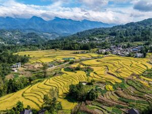镜观中国｜良田舒卷！夯牢中国饭碗新底气