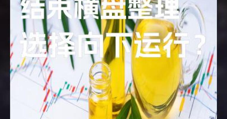 国内油脂板块结束横盘整理，选择向下运行？#棕榈油 #期货开户 #银河期货