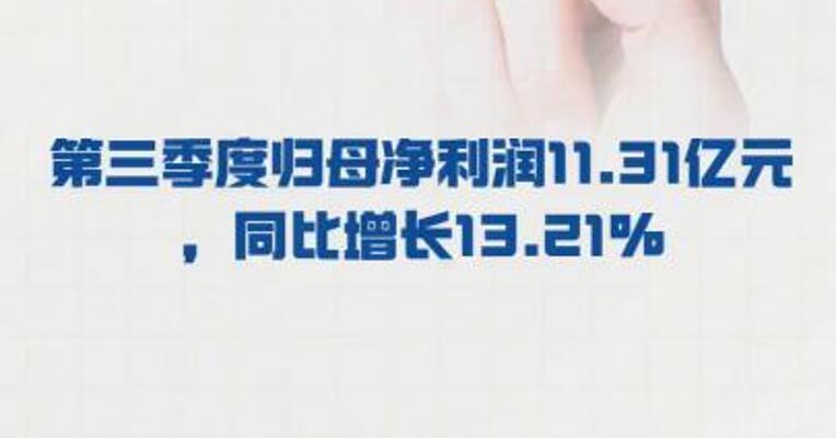 中国化学： 第三季度归母净利润 11.31亿元， 同比增长13.21%