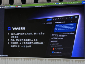 飞书入局“双11”，不做“选手”做AI“军火商”