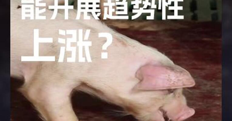 生猪何时 能开展趋势性 上涨？