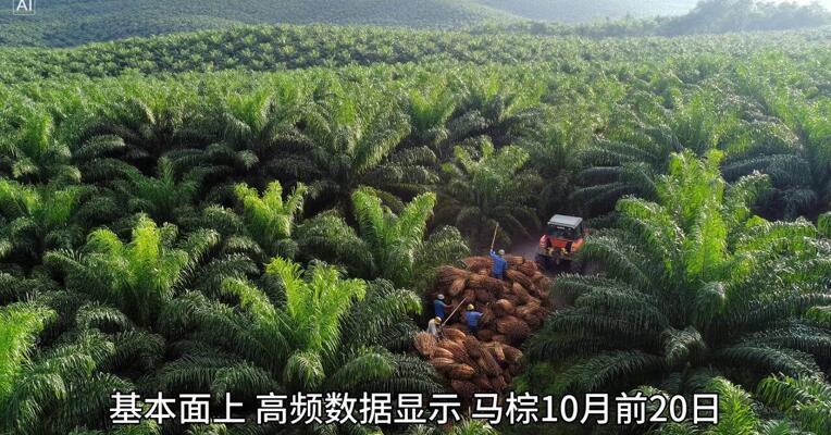 油脂供应宽松 震荡偏弱？