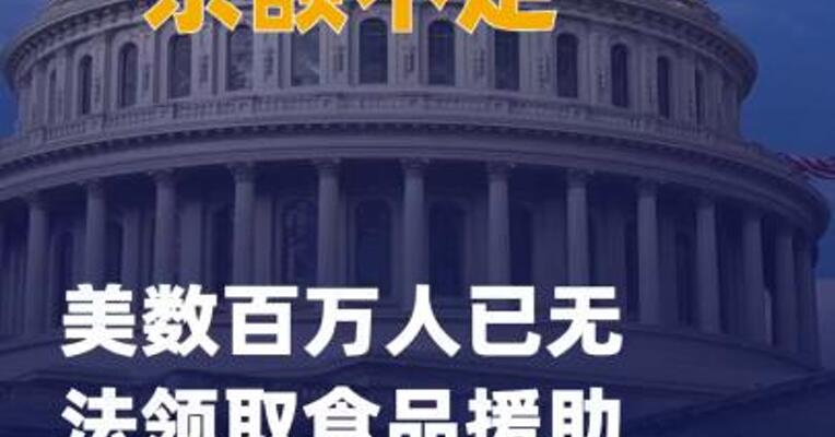 “余额不足” 美数百万人 已无法领取食品援助福利金