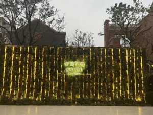 1.17亿元！“亚洲糖王”之子郭孔华斥重金买入自家豪宅，上海顶豪成全球资金 “避风港”？