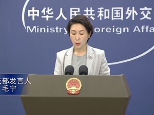外交部最新发声！对瑞典免签，延长对法国等国免签！恢复赴加拿大团队游业务
