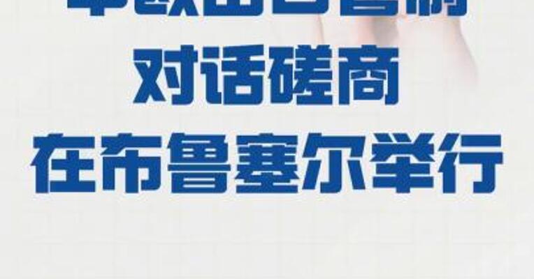 中欧出口管制对话磋商 在布鲁塞尔举行