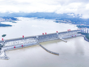 近年来多地出现“负电价” 既然卖电“不挣钱”，为何电厂不愿停机？