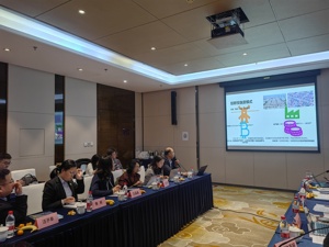 突破11亿千瓦！中国光伏装机量十年激增56倍，年均增速高达44%