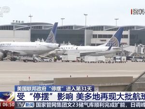 全美机场4295个航班延误、557个班次取消！美交通部长：或关闭空域