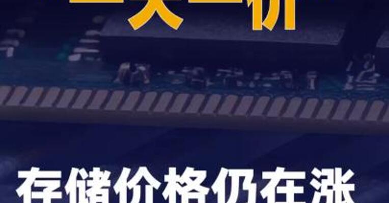 “一天一价”存储价格仍在涨
