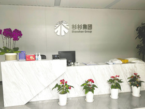 “民营船王”入主杉杉集团 按下“暂停键”？