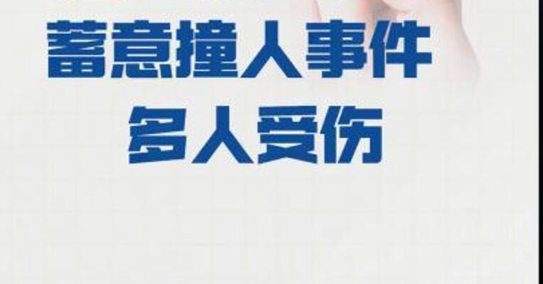 法国发生驾车蓄意撞人事件  多人受伤