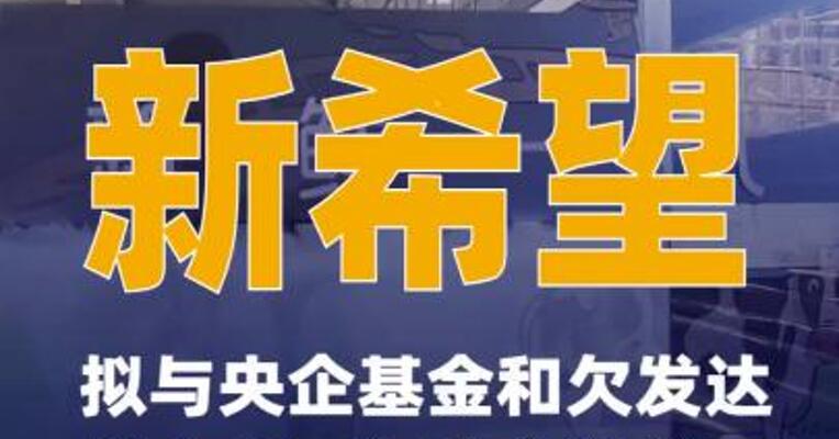 新希望：拟与央企基金和欠发达 基金共同设立合资公司