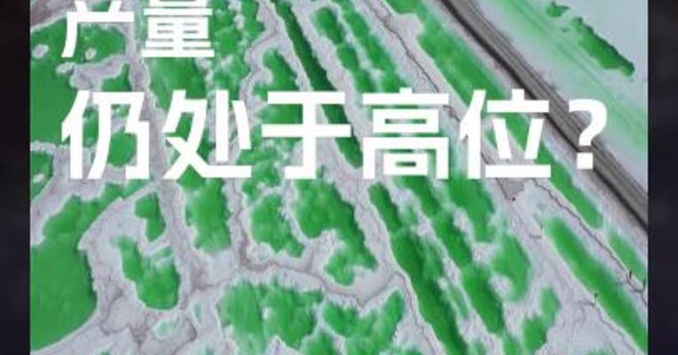 碳酸锂 产量 仍处于高位？