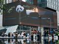 成都三大案例入选！《世界城市文化报告》最新版发布