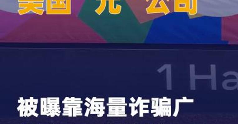 美国“元”公司被曝靠海量 诈骗广告赚取巨额利润