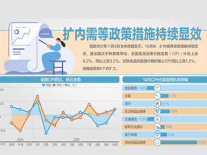由负转正！ 10月CPI同比涨0.2%