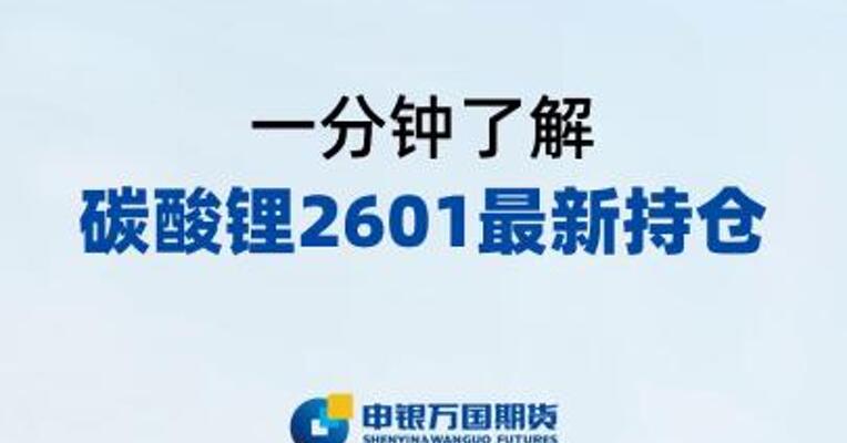 一分钟了解碳酸锂2601最新持仓