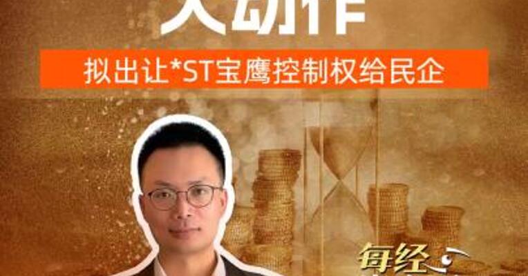 珠海国资大动作 拟出让*ST宝鹰控制权给民企