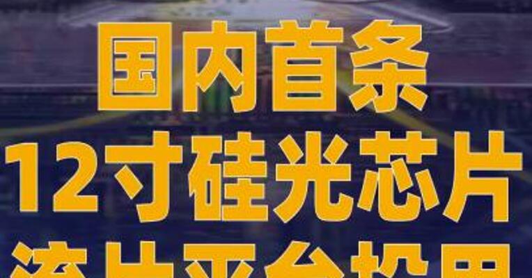 国内首条12寸硅光芯片 流片平台投用