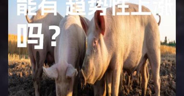 生猪 能有 趋势性上涨吗？