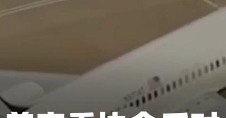 美空乘协会反对总统立刻返岗 言论