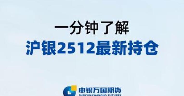 一分钟了解沪银2512最新持仓