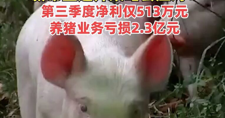 “猪价跌至11元/公斤 ，已使行业全面亏损”， 新希望连开策略会应对！第三季度净利仅513万元，养猪业务亏损2.3亿元