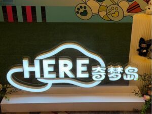 从做教育致富到“卖萌”！纳斯达克一上市公司弃教从玩，潮玩红利告别“傻钱时代”？