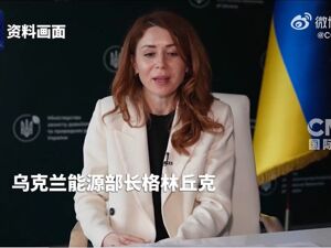 乌克兰曝战时腐败窝案，两名部长下台！乌军高层被指直接指挥北溪破坏行动！涉及俄被冻结资产援乌，法国：欧盟已达成共识