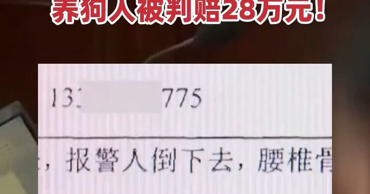 腰椎骨折，九级残疾，遛狗未拴绳致人受伤，养狗人被判赔28万元！