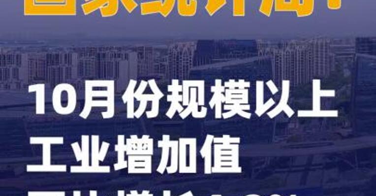 国家统计局：10月份规模以上工业增加值同比增长4.9%