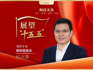 展望“十五五”|专访财科院院长杨志勇：遏制地方政府新增隐性债务，债务信息要透明，尽可能降低利息成本