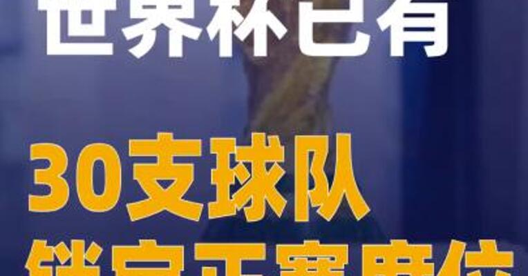 2026美加墨世界杯已有30支球队锁定正赛席位