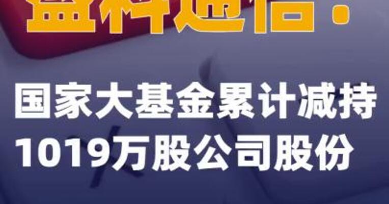 盛科通信：国家大基金累计减持1019万股公司股份